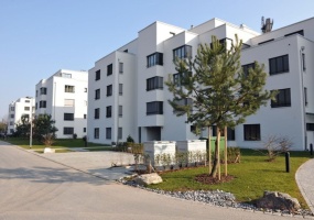 2-24 Frohbühlstrasse, Jona, St. Gallen 8645, 0 , 0 ,0,Grundstück,Zu vermieten,Frohbühlstrasse,-1,1044